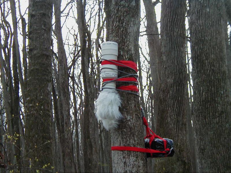 #bird-column, #Boothbay-Register, #Jeff-and-Allison-Wells, #birds, #Maine, #ARU